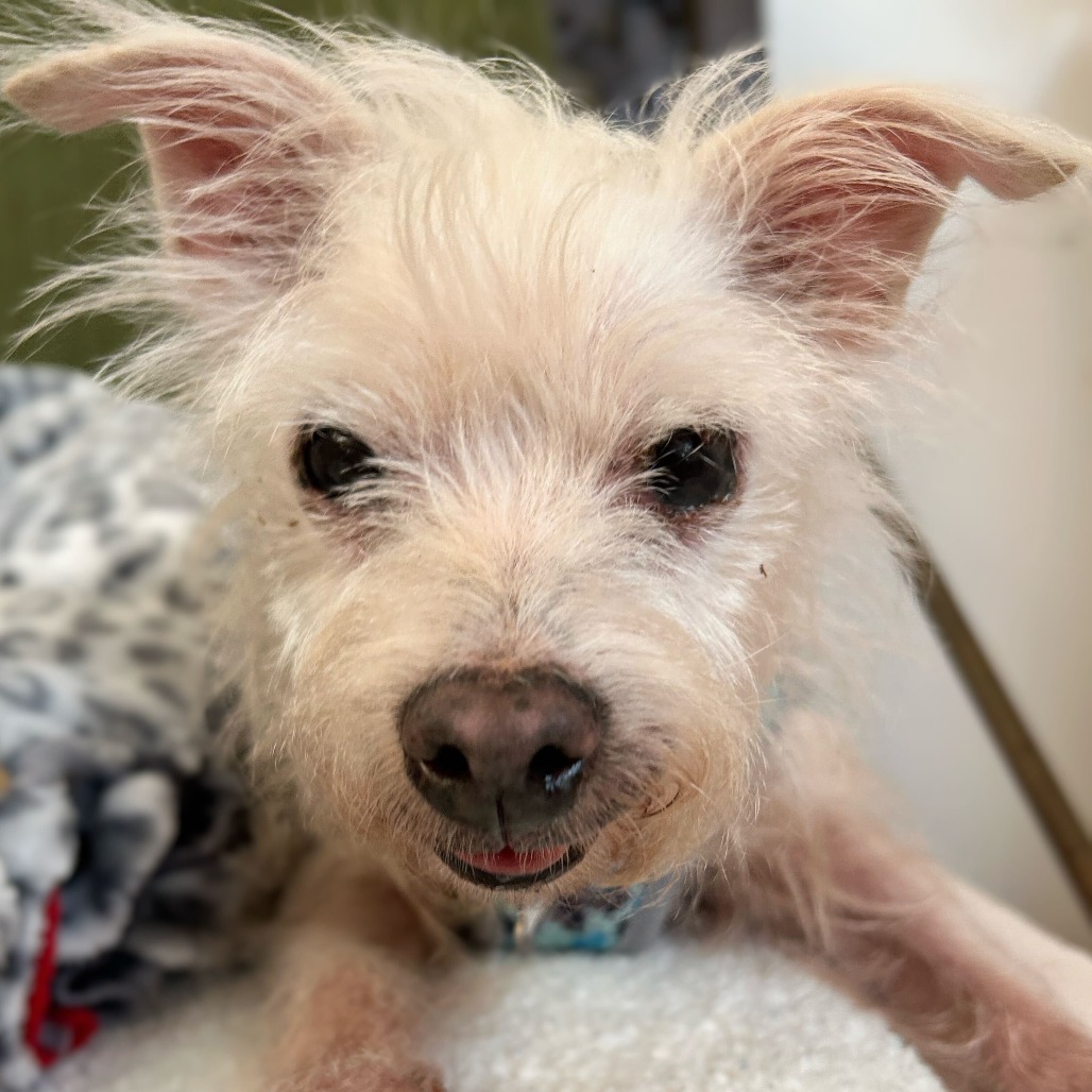 Toad 13841 — thumbnail 2