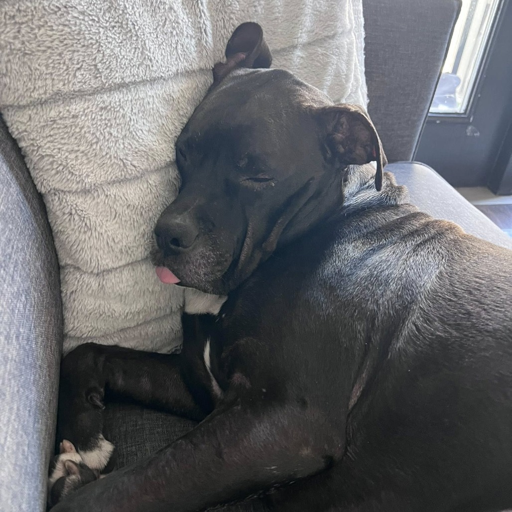 Frank, photo 6