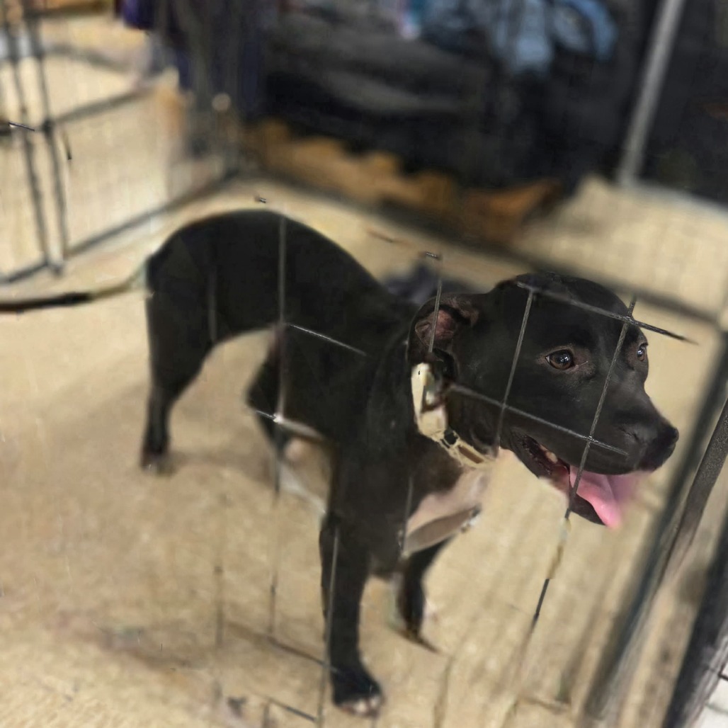 Sunny — thumbnail 11