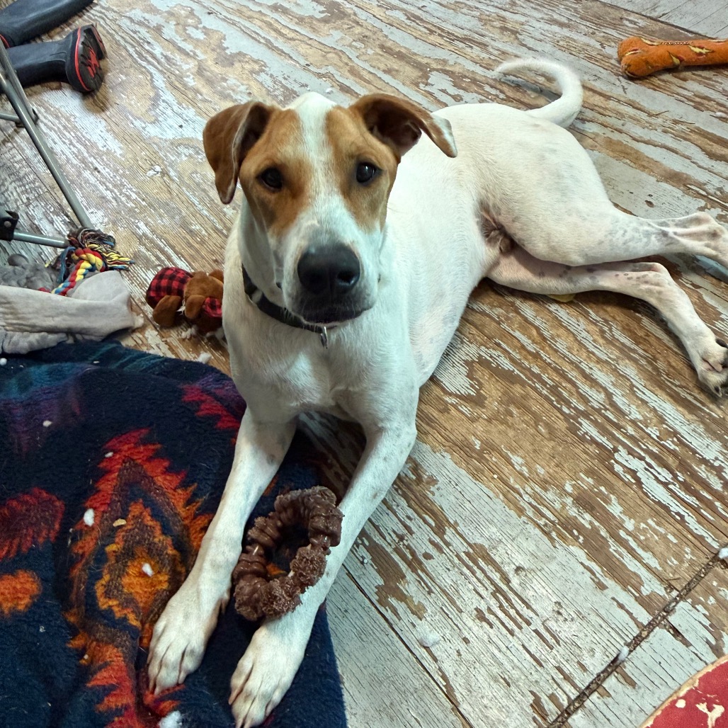 DIEGO JR., photo 18