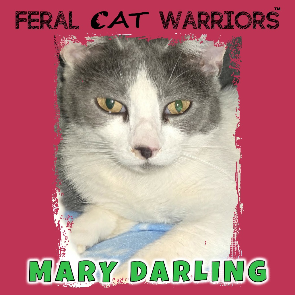 Mary Darling