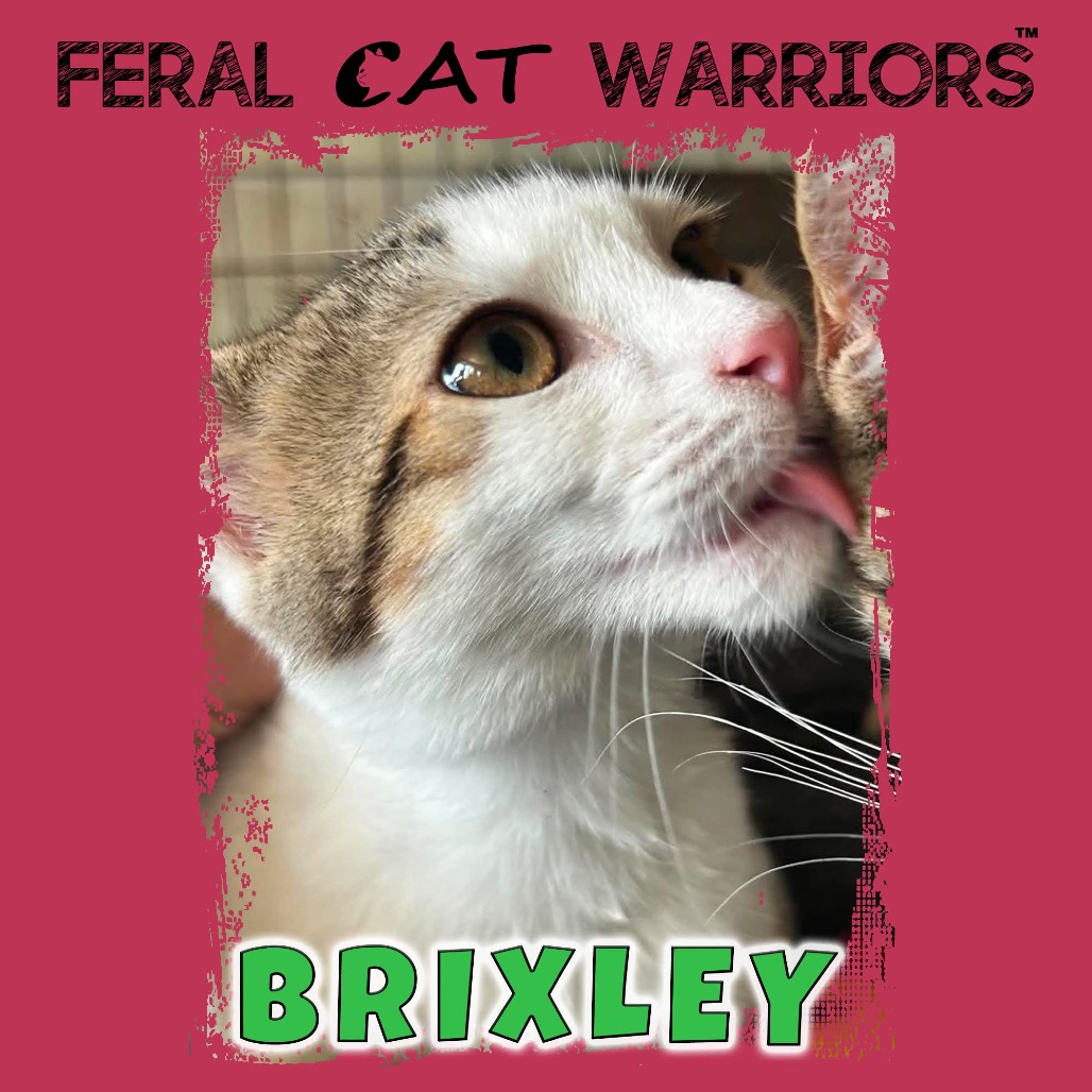 Brixley