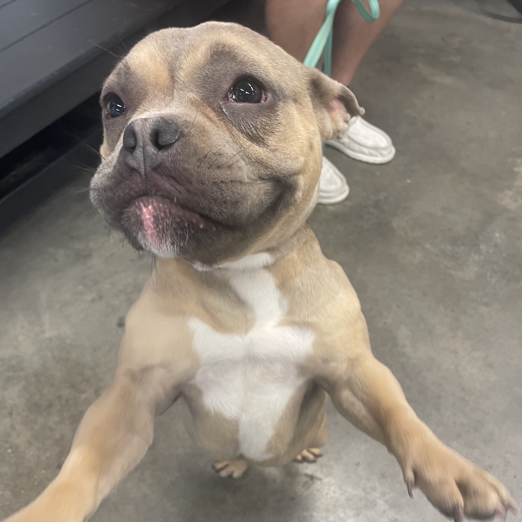 Chyna — thumbnail 3