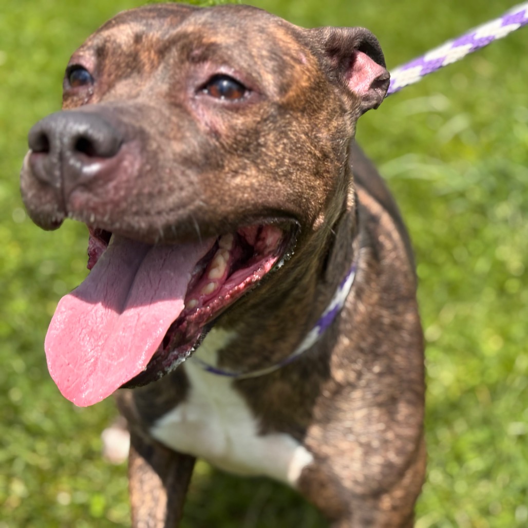 b2d948a04dd151e293707b1dbca6b1dd