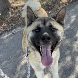 Zeus — thumbnail 3