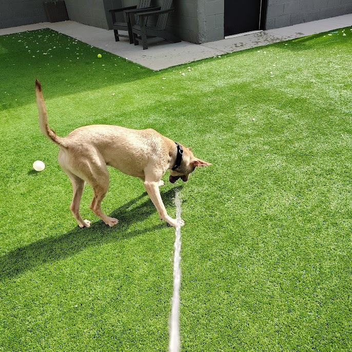 Earthworm Jim — thumbnail 5