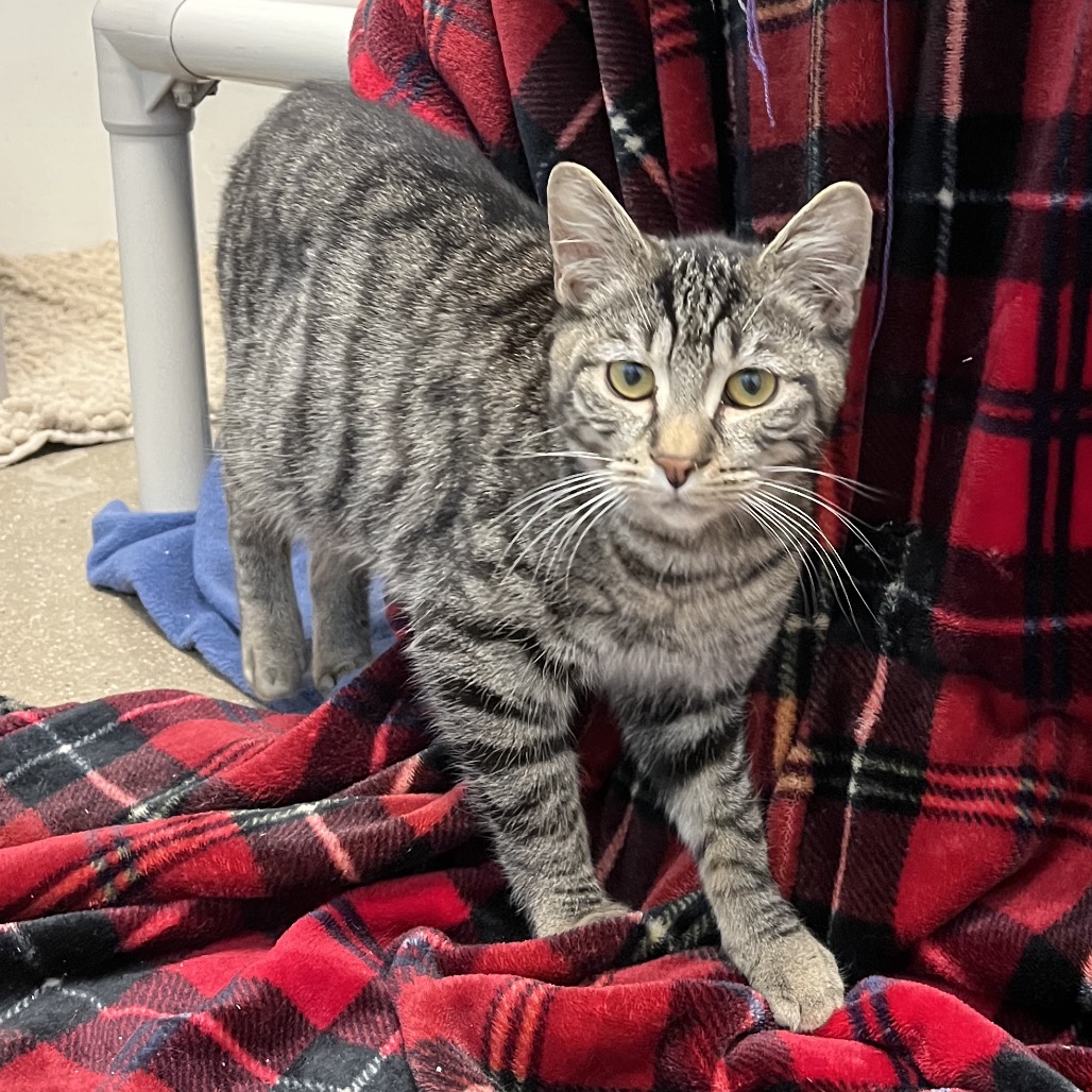 19295d07fc3194350ee3ef6112ae2318