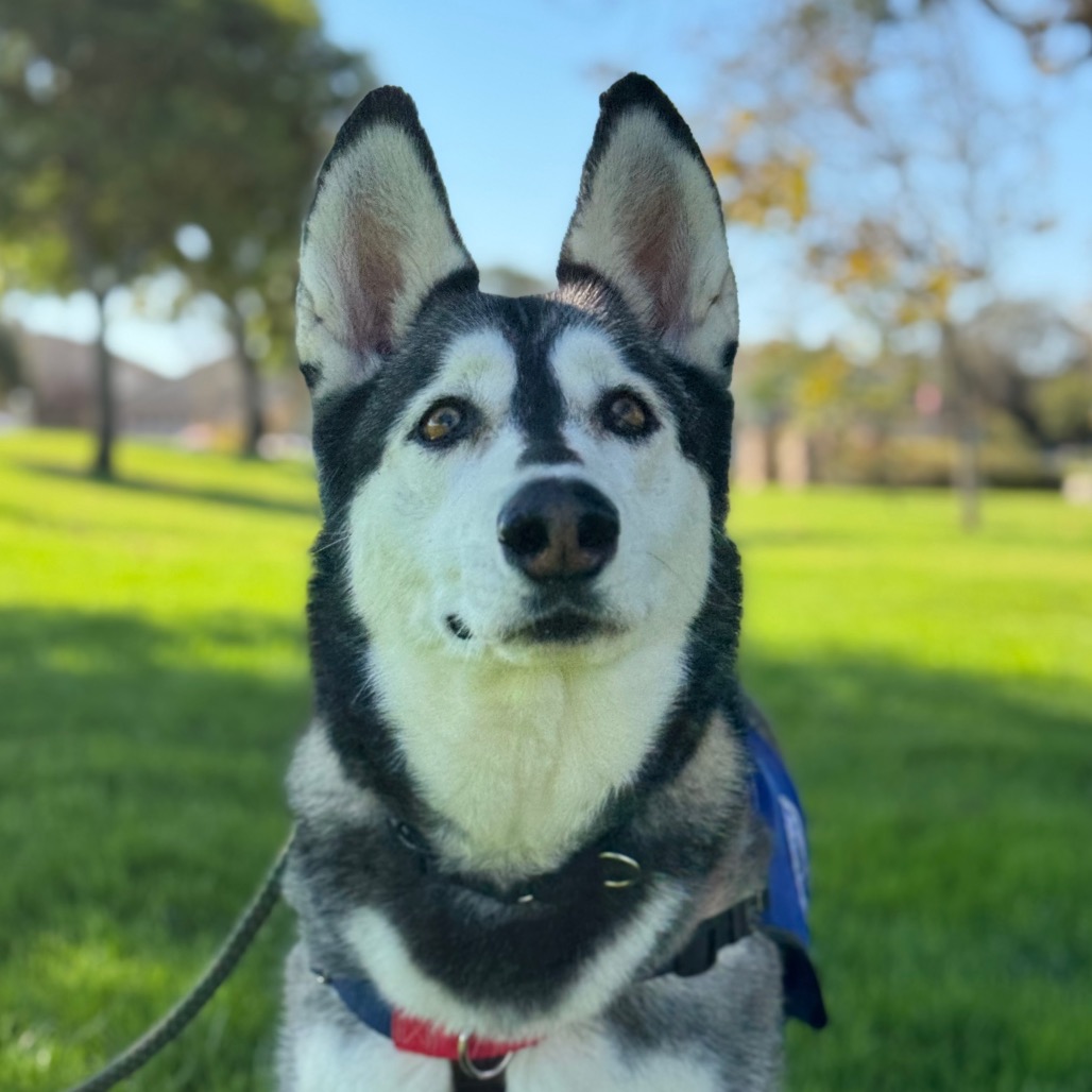 Tundra, photo 15
