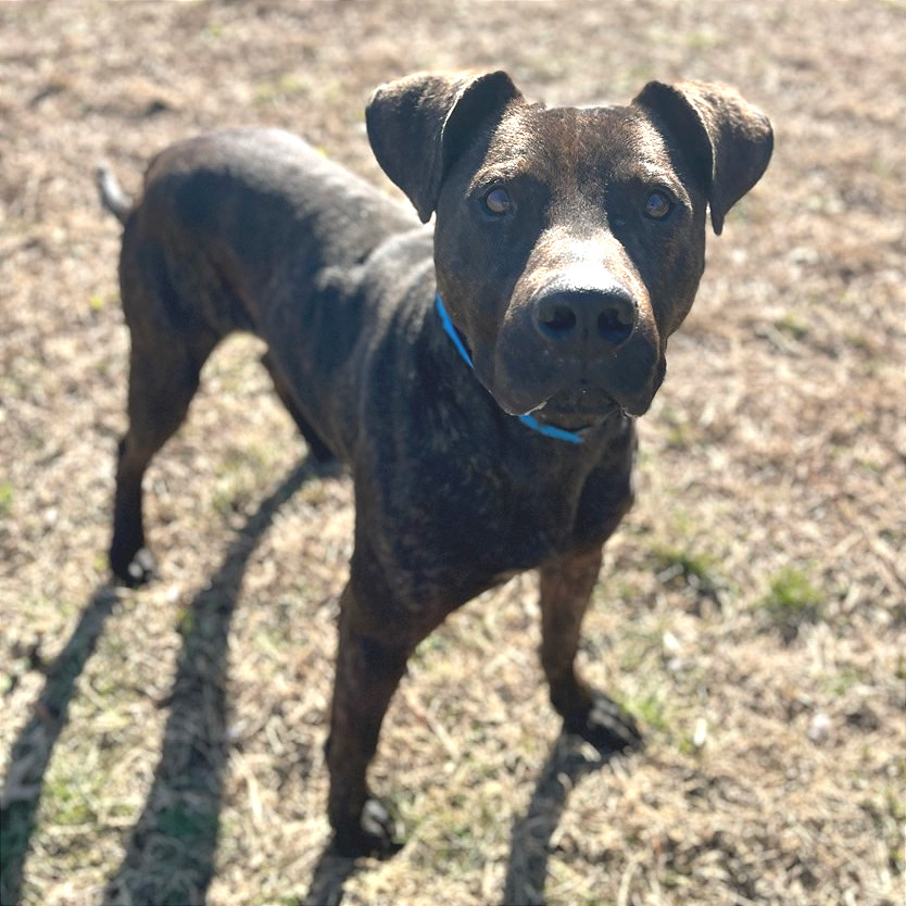 Gravy — thumbnail 5