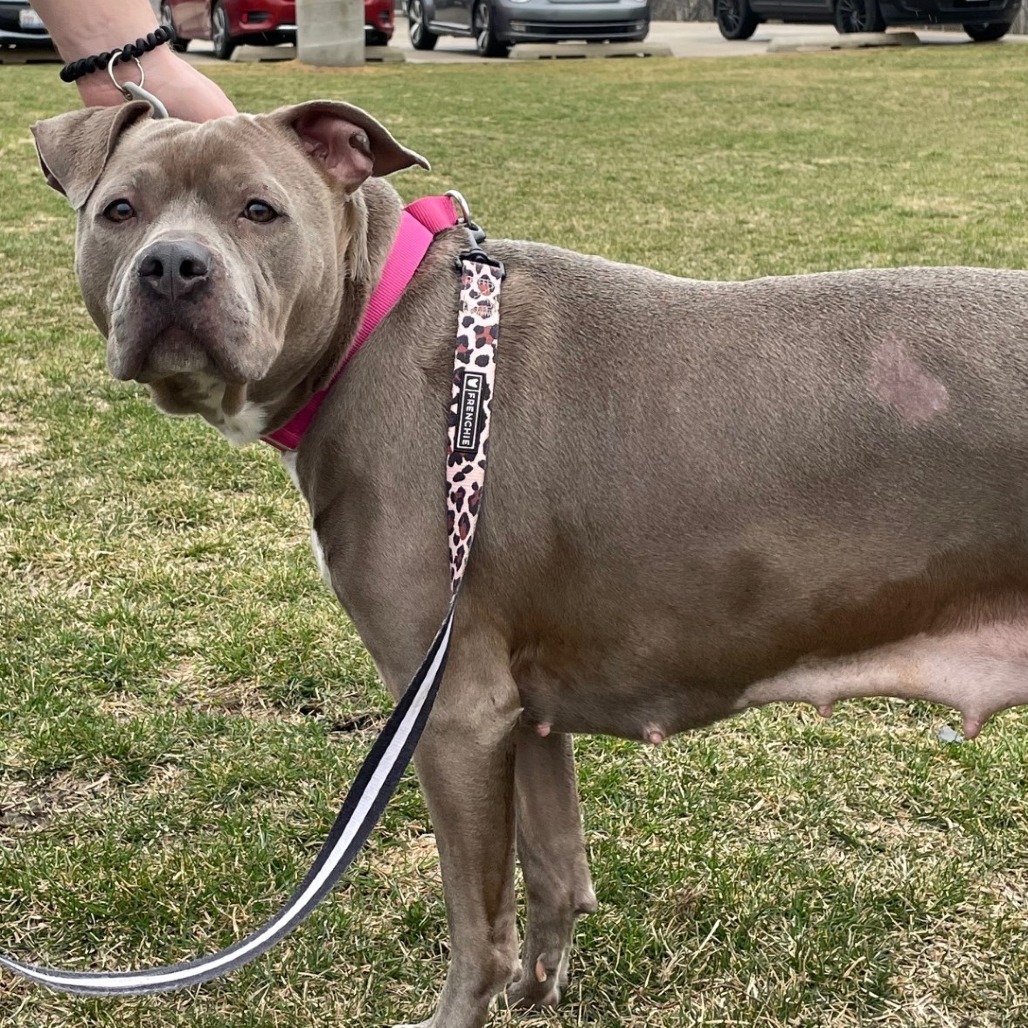 Skyrim — thumbnail 5