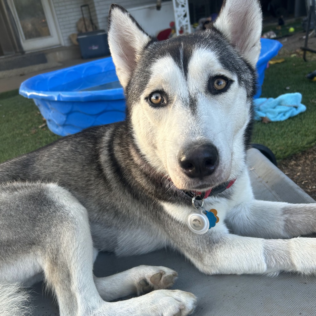 Kai, photo 7