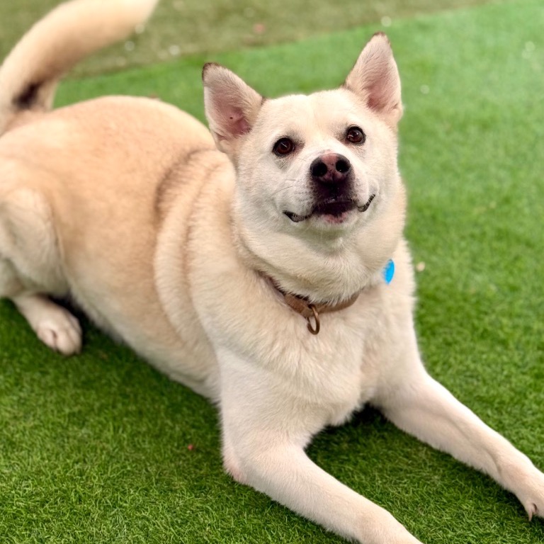 Photo of Austin playing