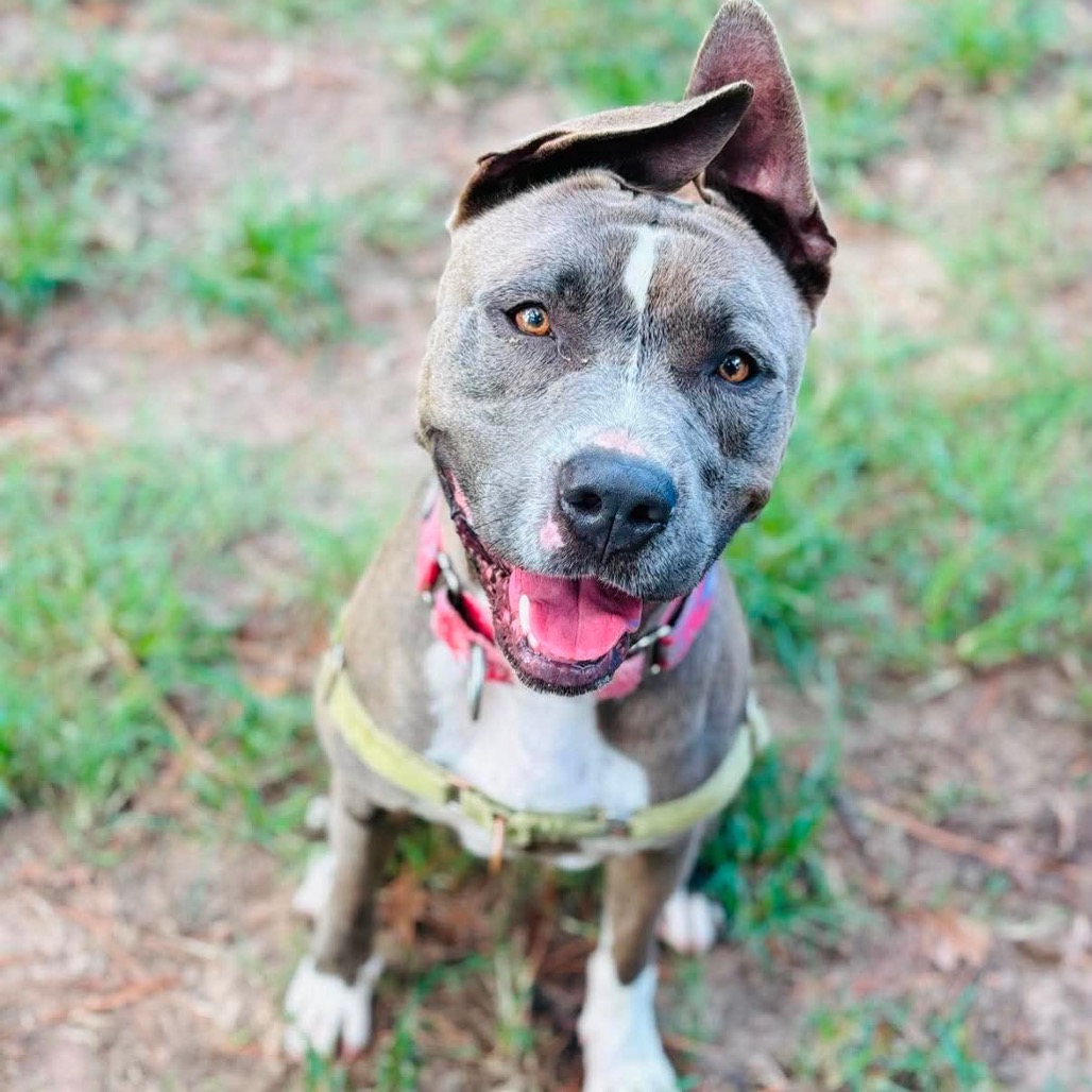 Hondo, photo 16