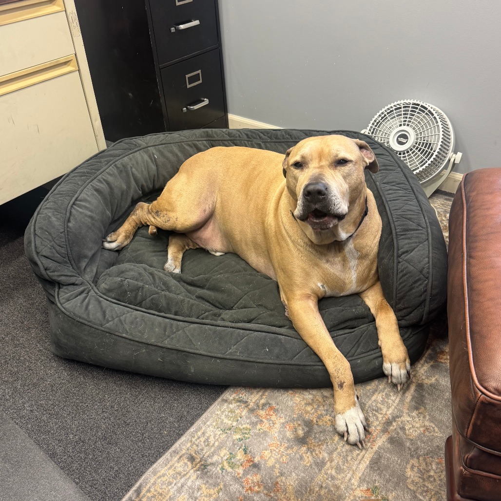 Sampson, photo 20