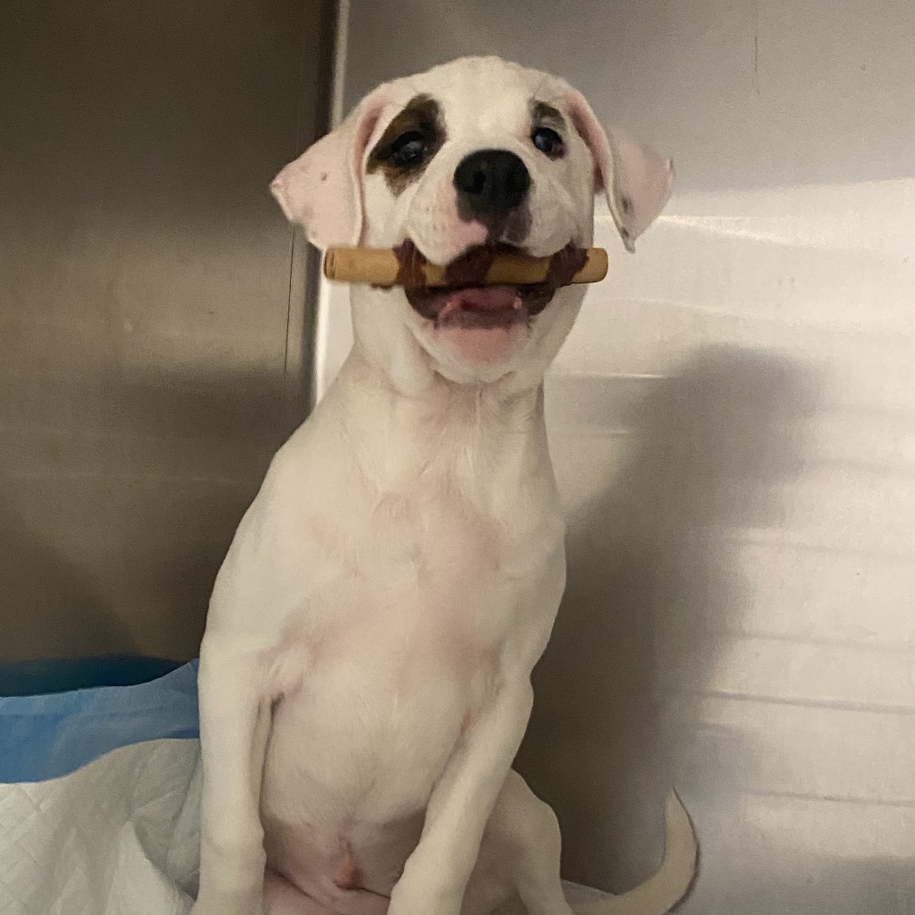 Mia Winters — thumbnail 4