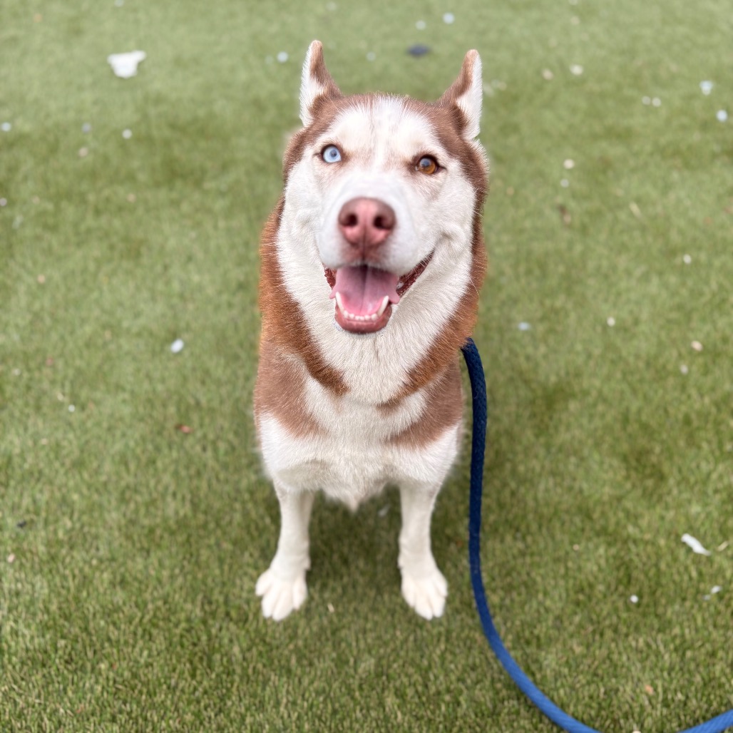 Pandora — thumbnail 5