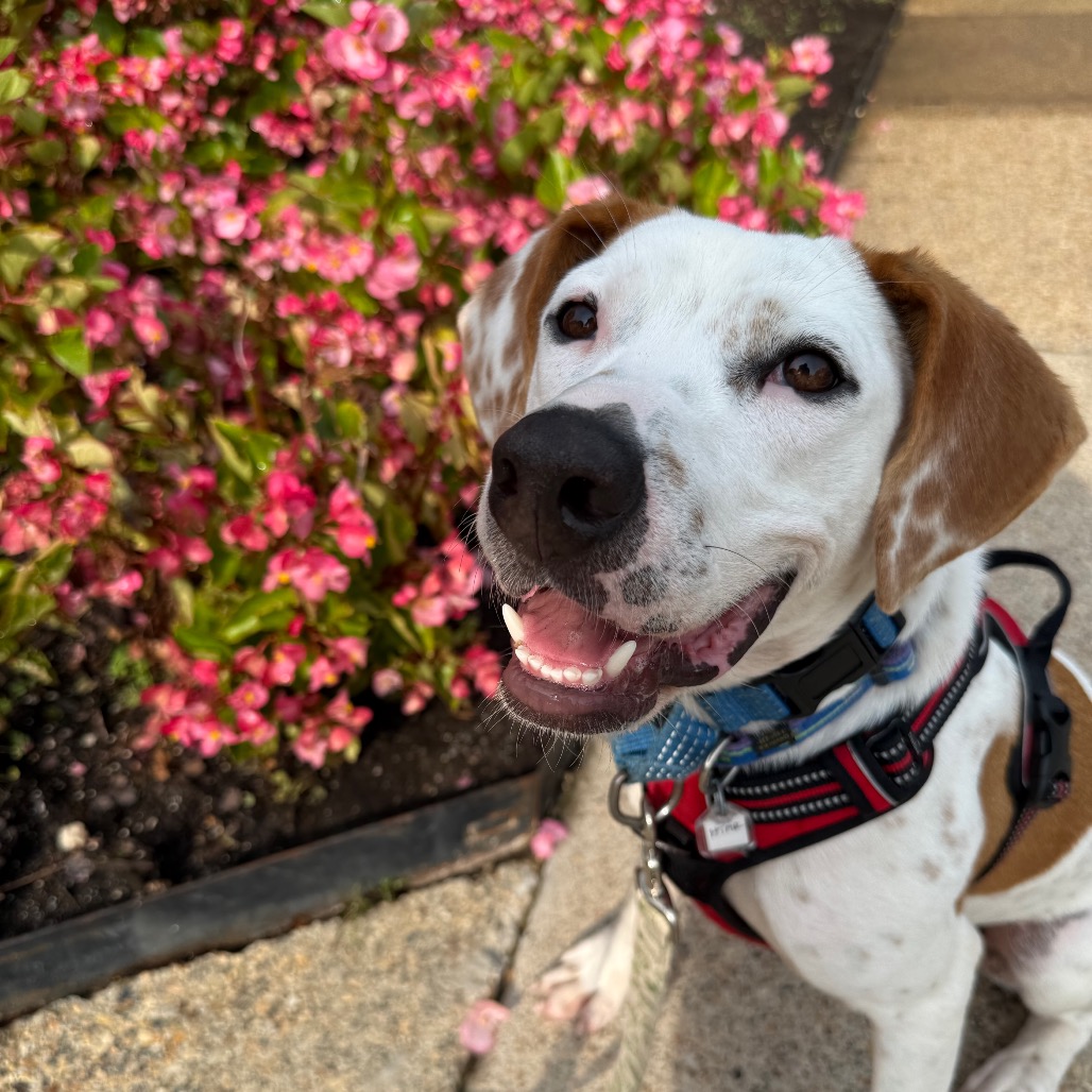 Otis, photo 4