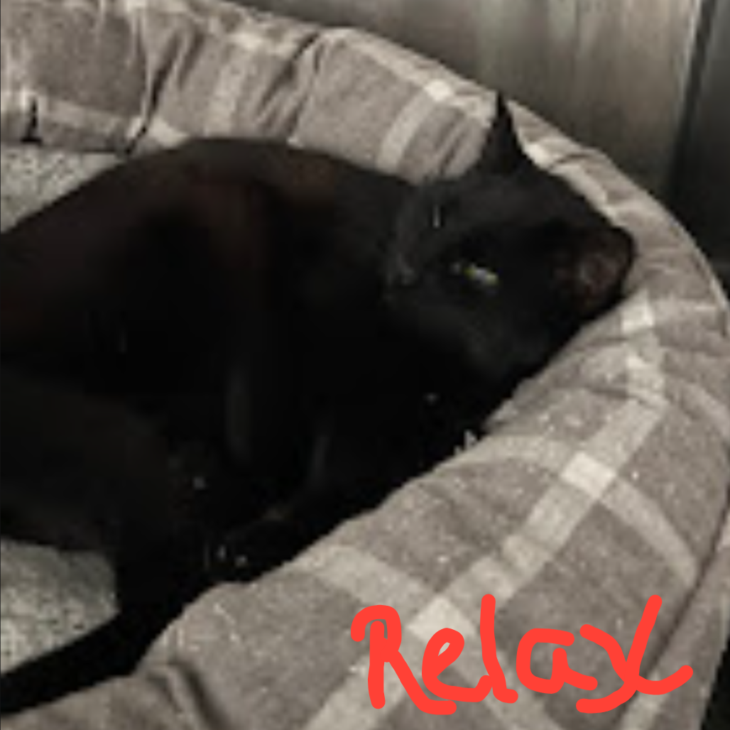 Salem, photo 2