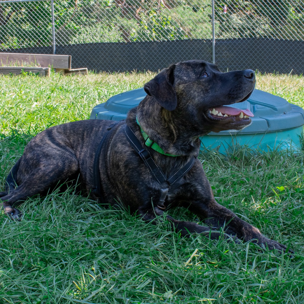 Earl, photo 8