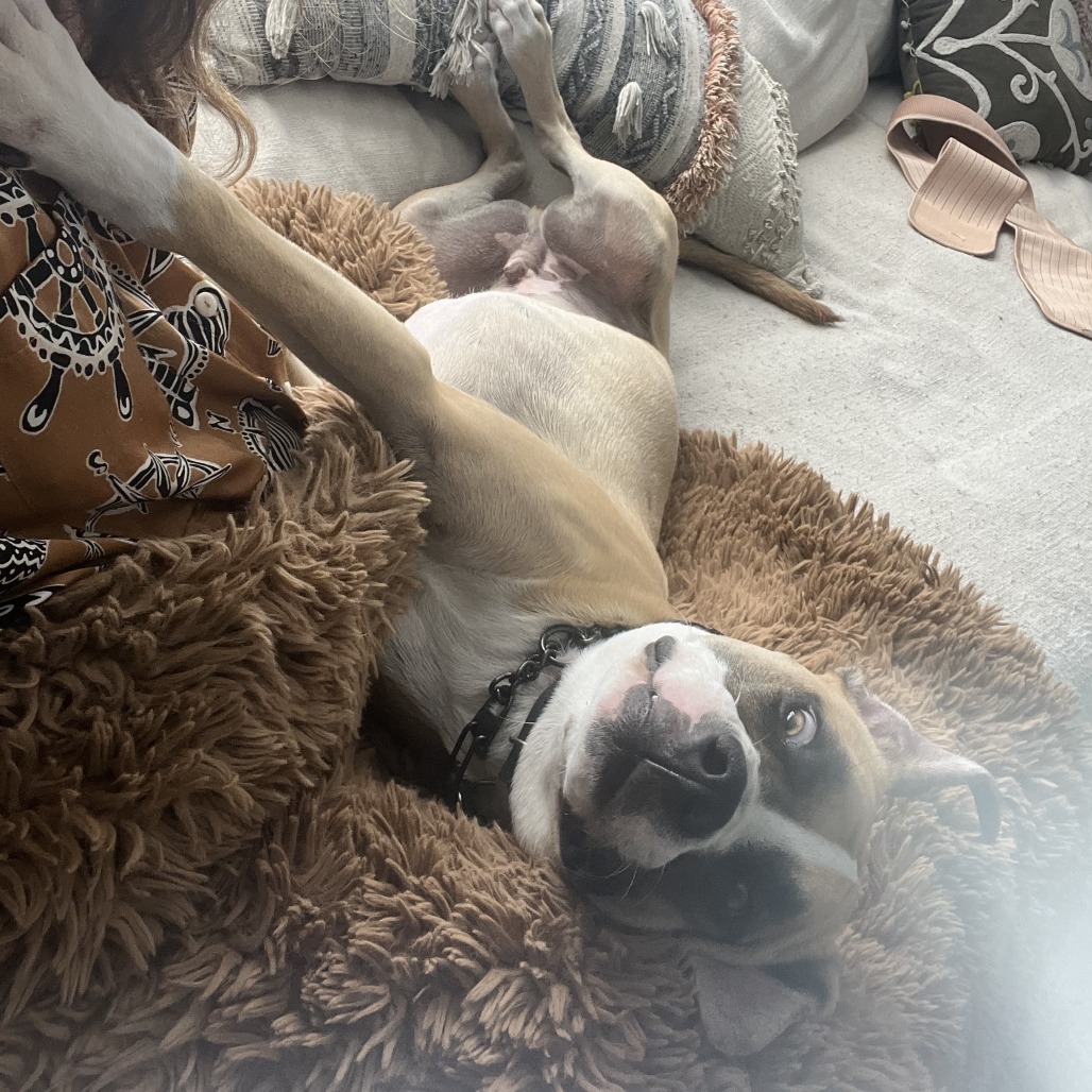 Apache Kid — thumbnail 10