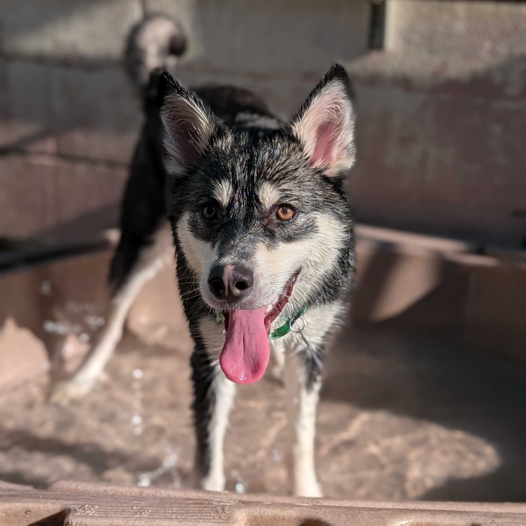 Athena — thumbnail 5