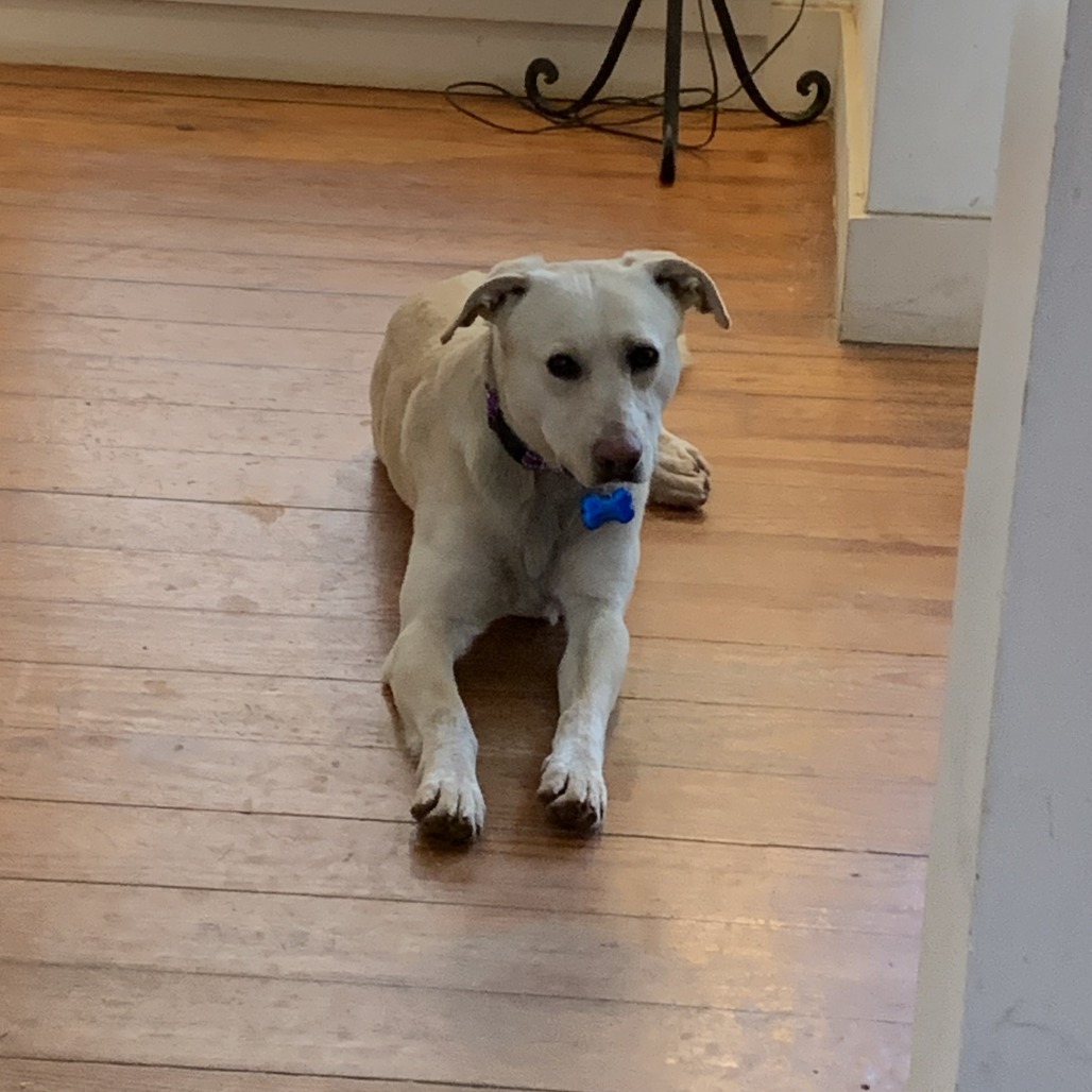 Butter, photo 4