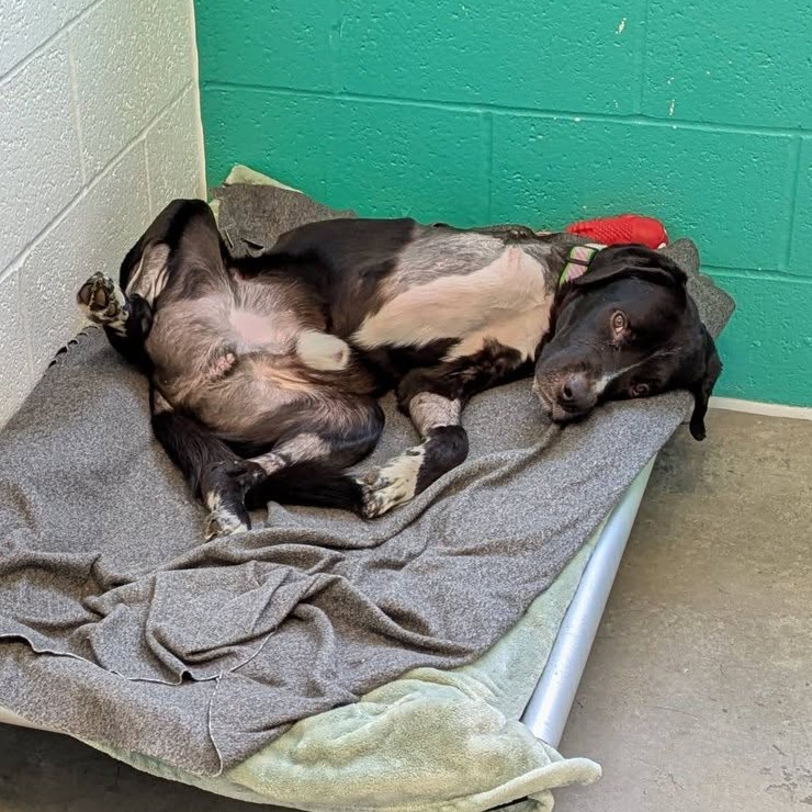 Photo of T.L. Frank 3