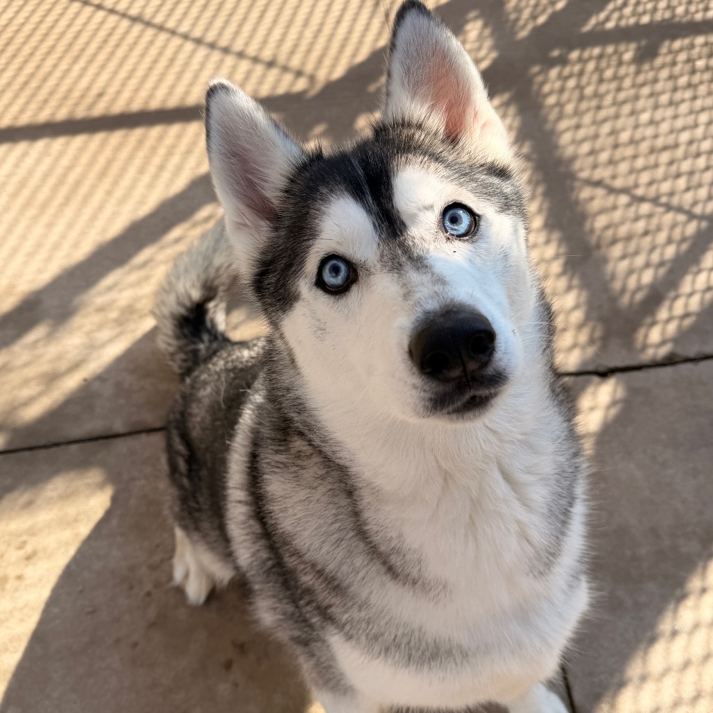 Maya, photo 3