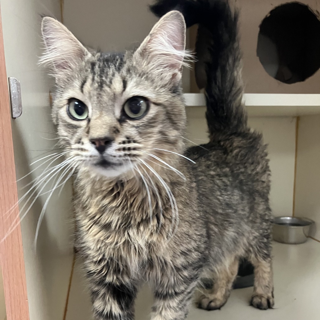 Pluto — thumbnail 8