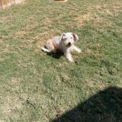 Jackson, photo 4