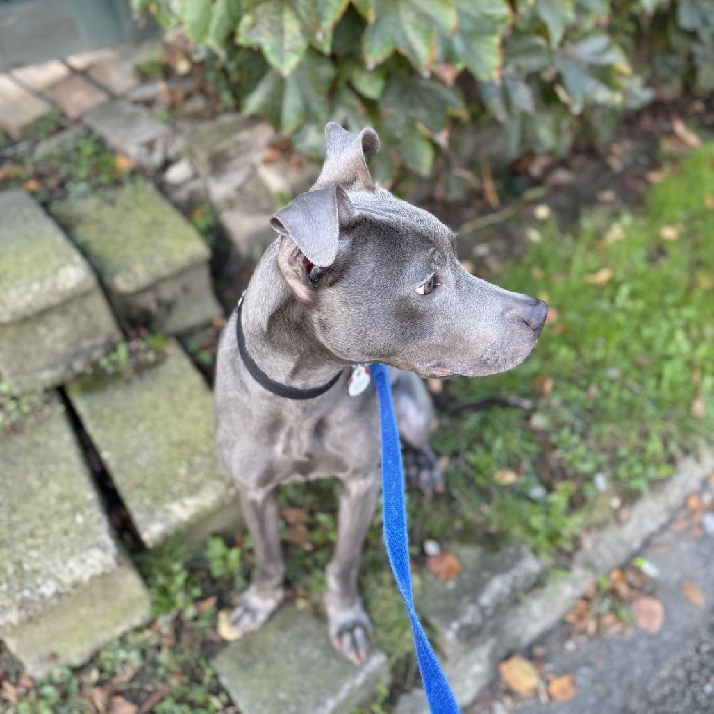 Photo of Akino 5