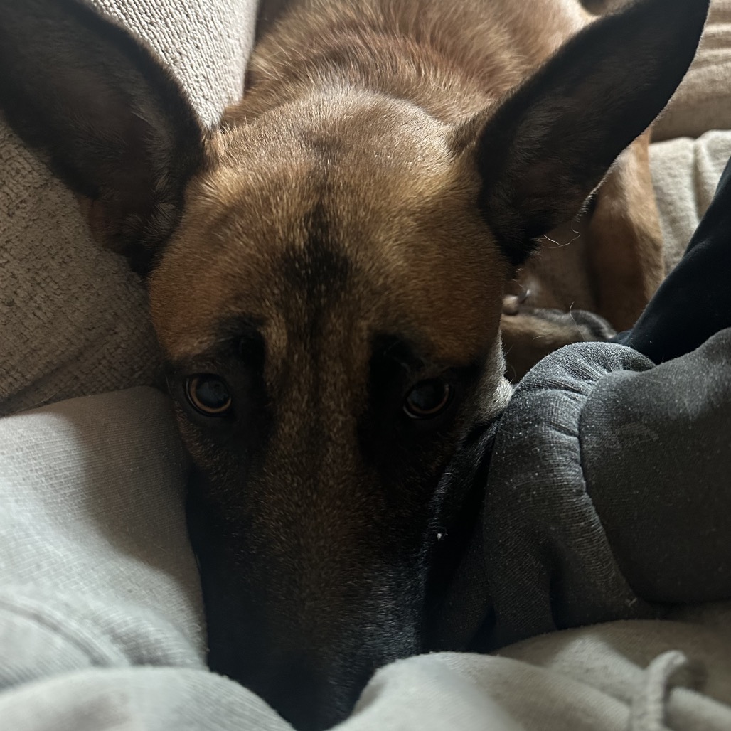Lilly, photo 10