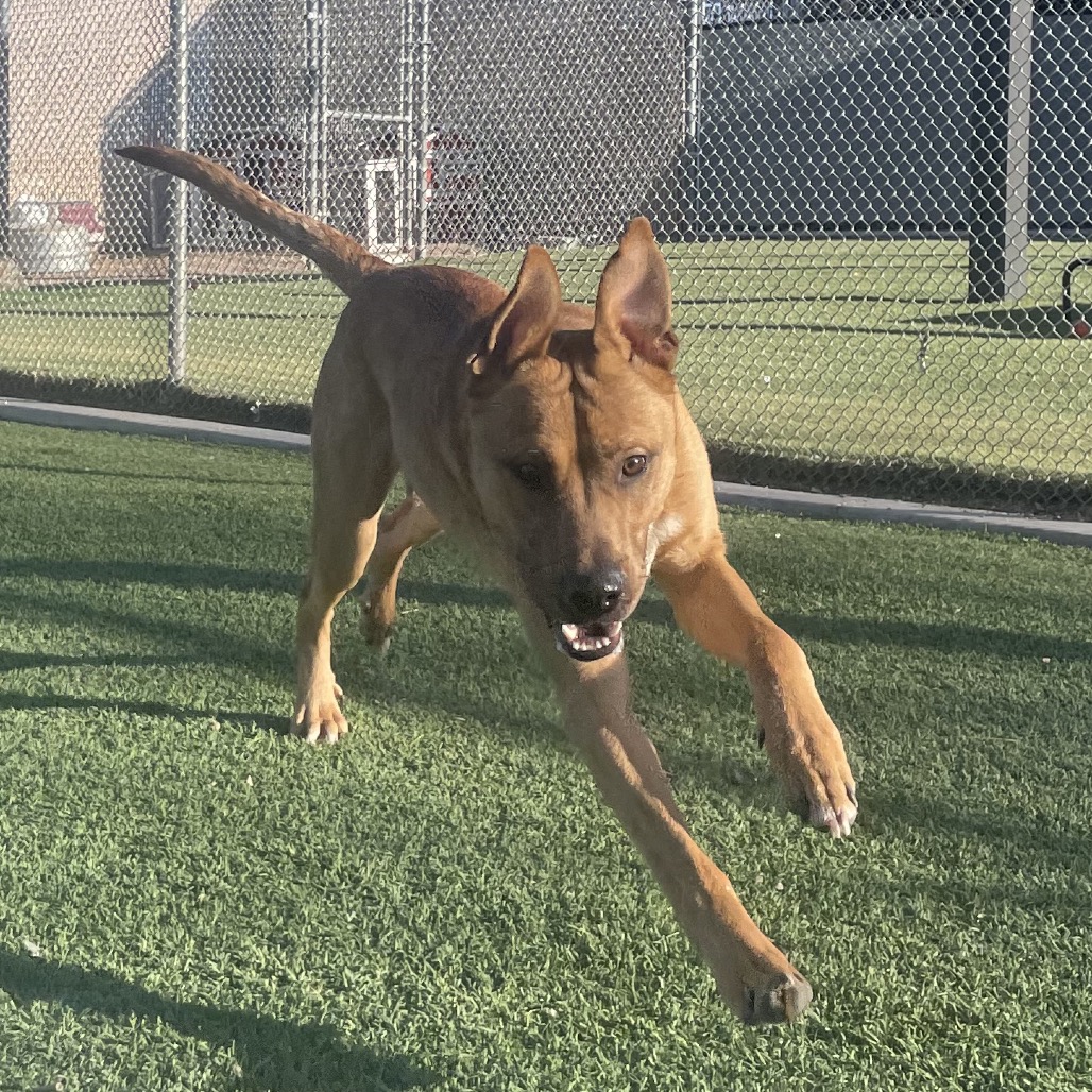 Zeus — thumbnail 5