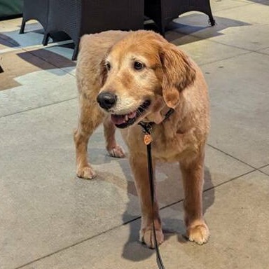 Maggie