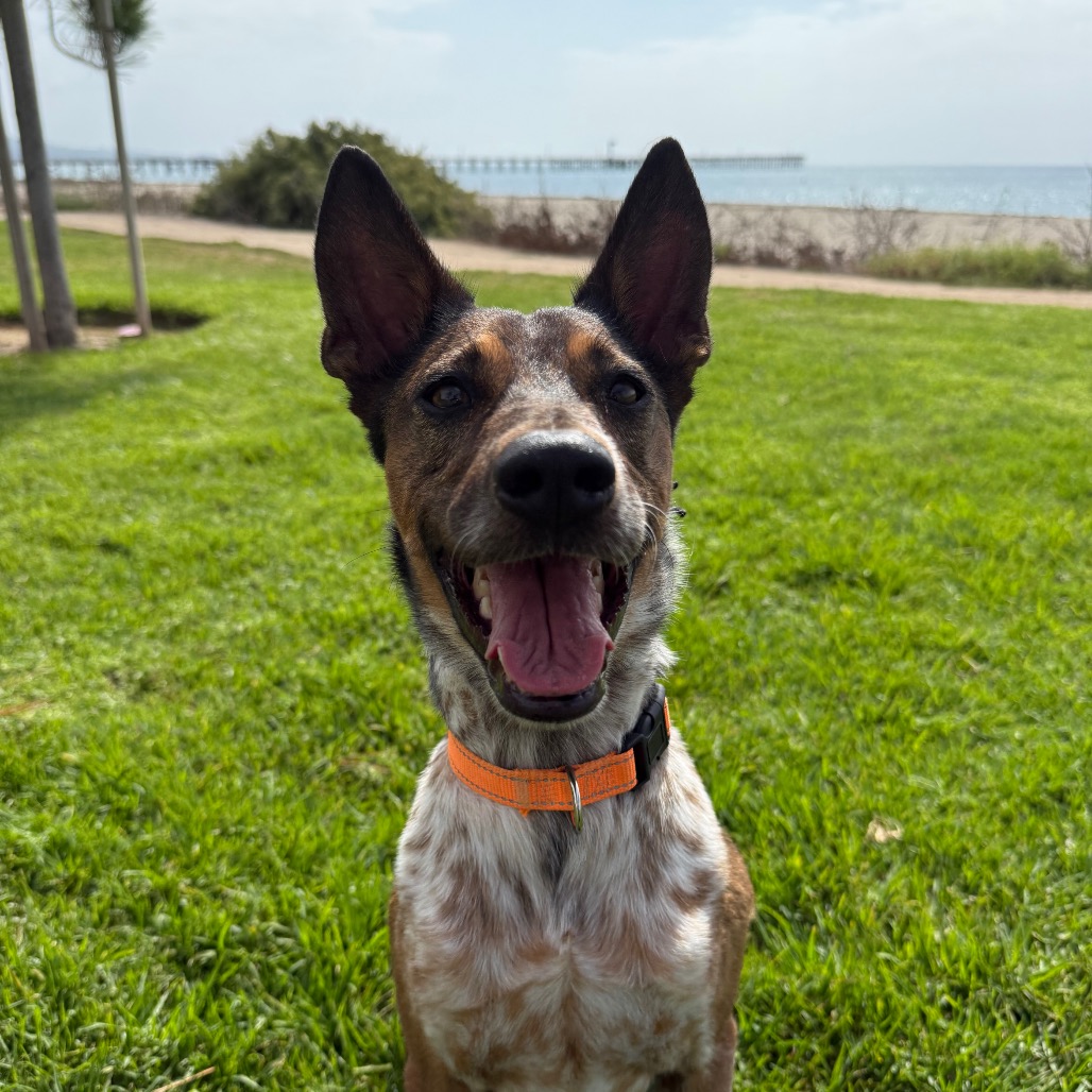 Cash, photo 11