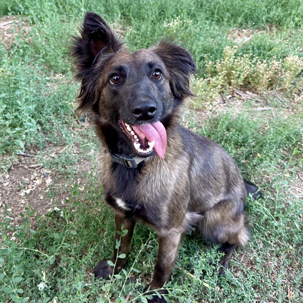 OLIVE, photo 7