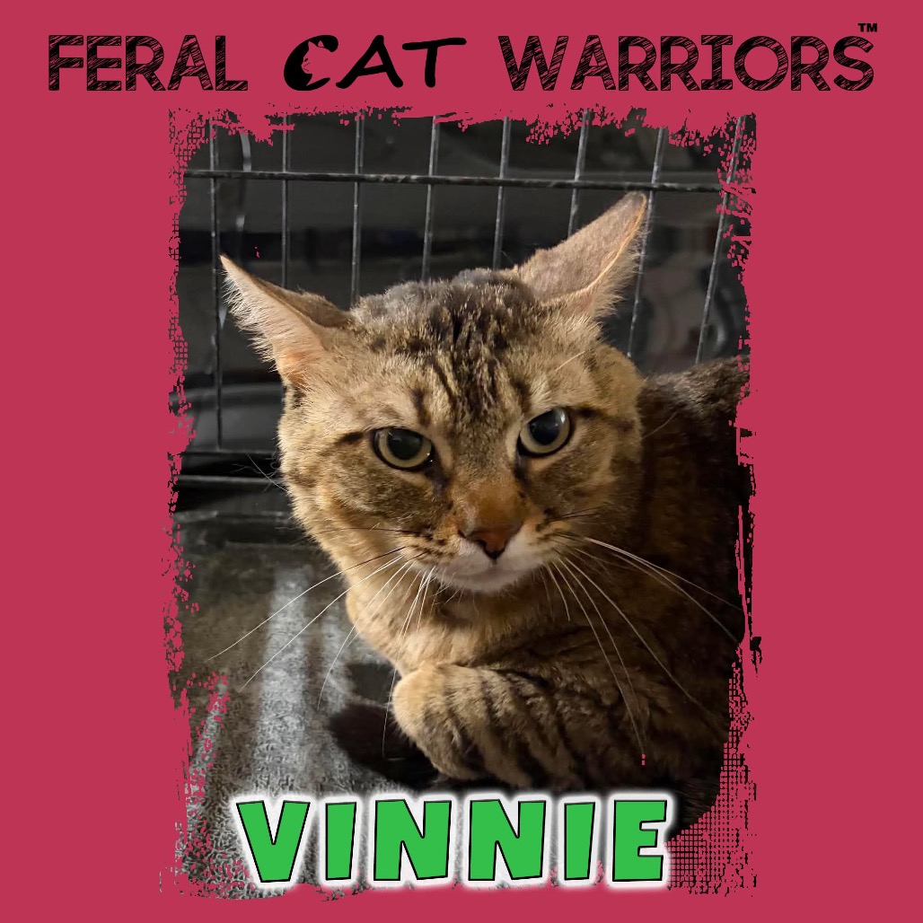 Vinnie