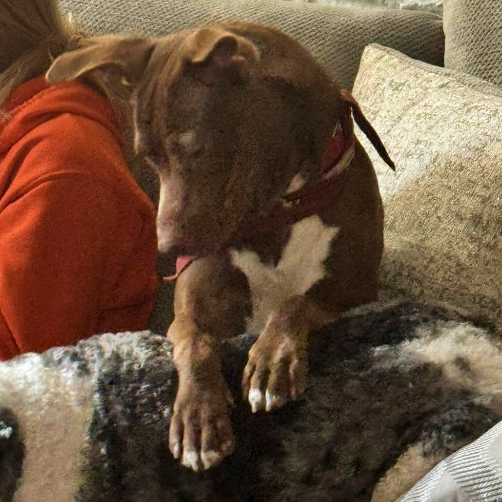 Photo of Starcraft 16