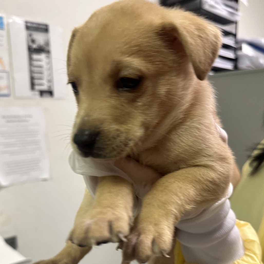 Butter BTS Remix — thumbnail 2