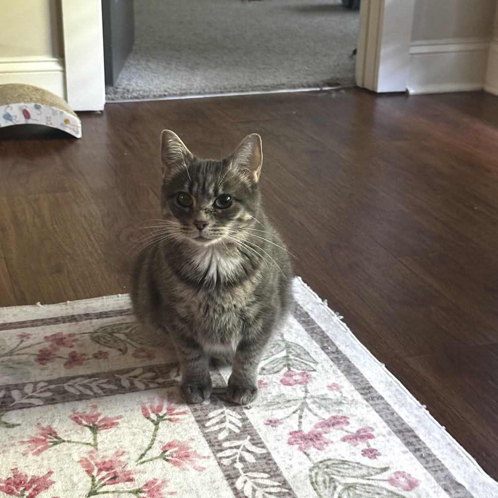 Kiara, photo 11
