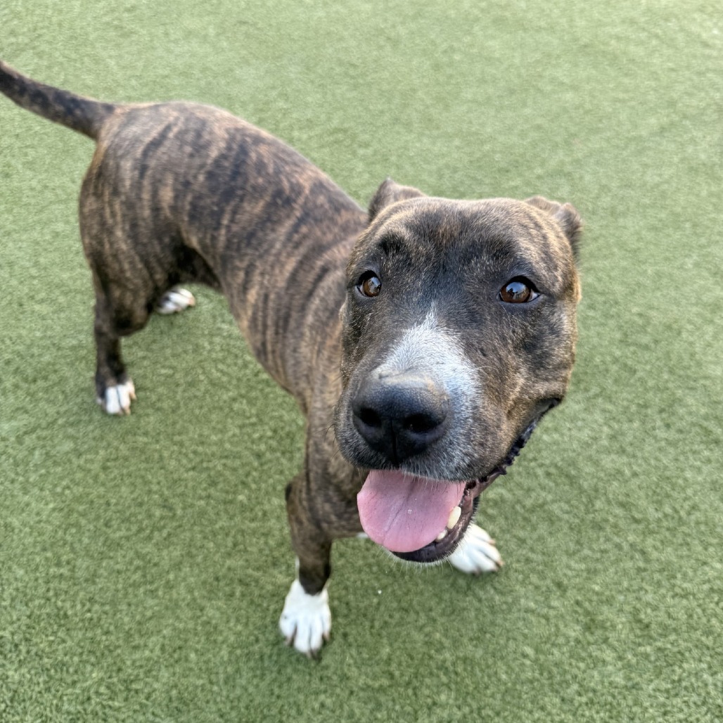 Lana — thumbnail 5