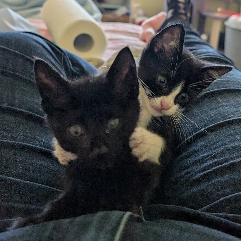 Zumi Zooma 16 — thumbnail 8