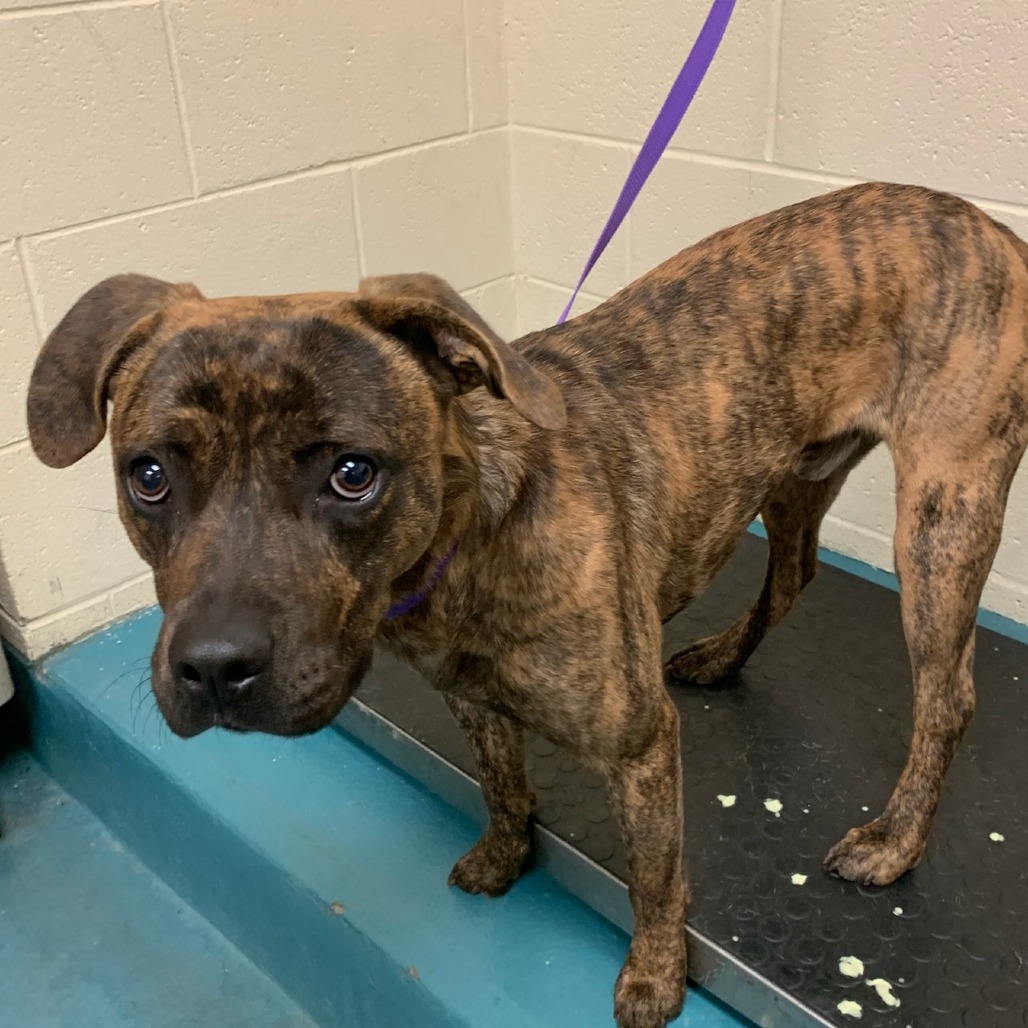 COSTA — thumbnail 2