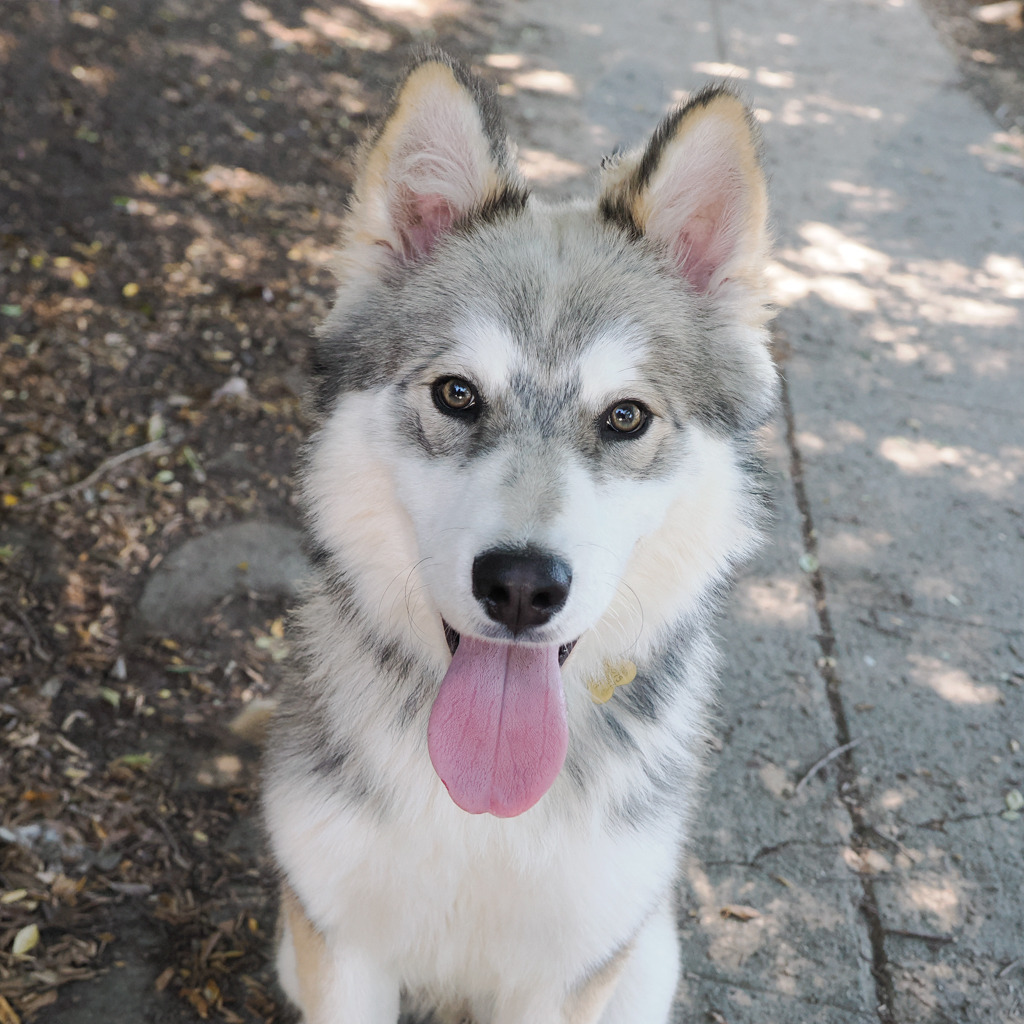 GUSTAV, photo 8
