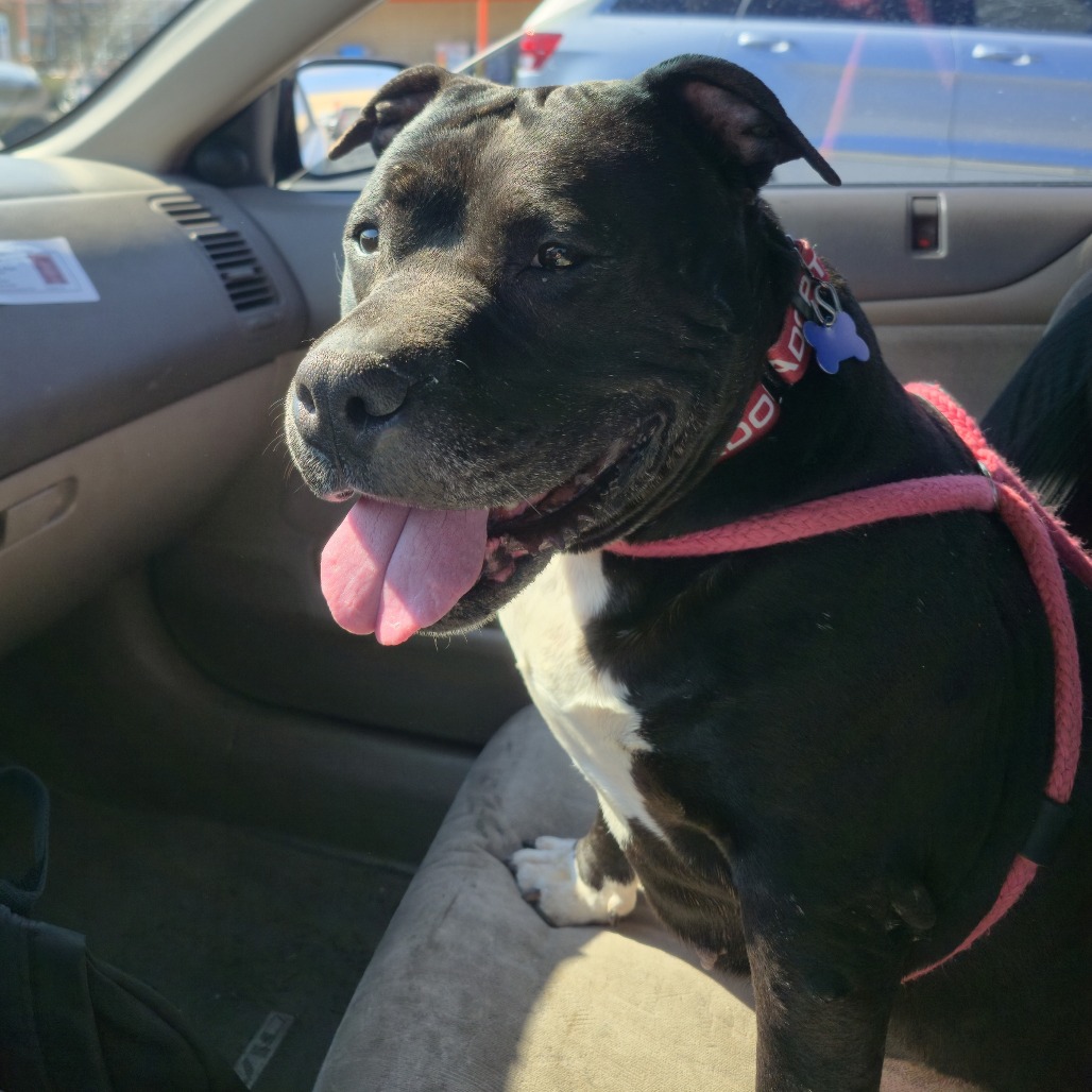 e37115f319e6e9f58f7d9a3bde0f6a93