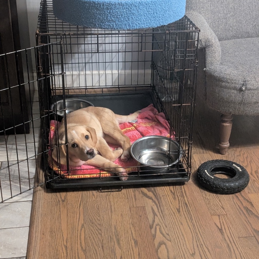 Natasha — thumbnail 4