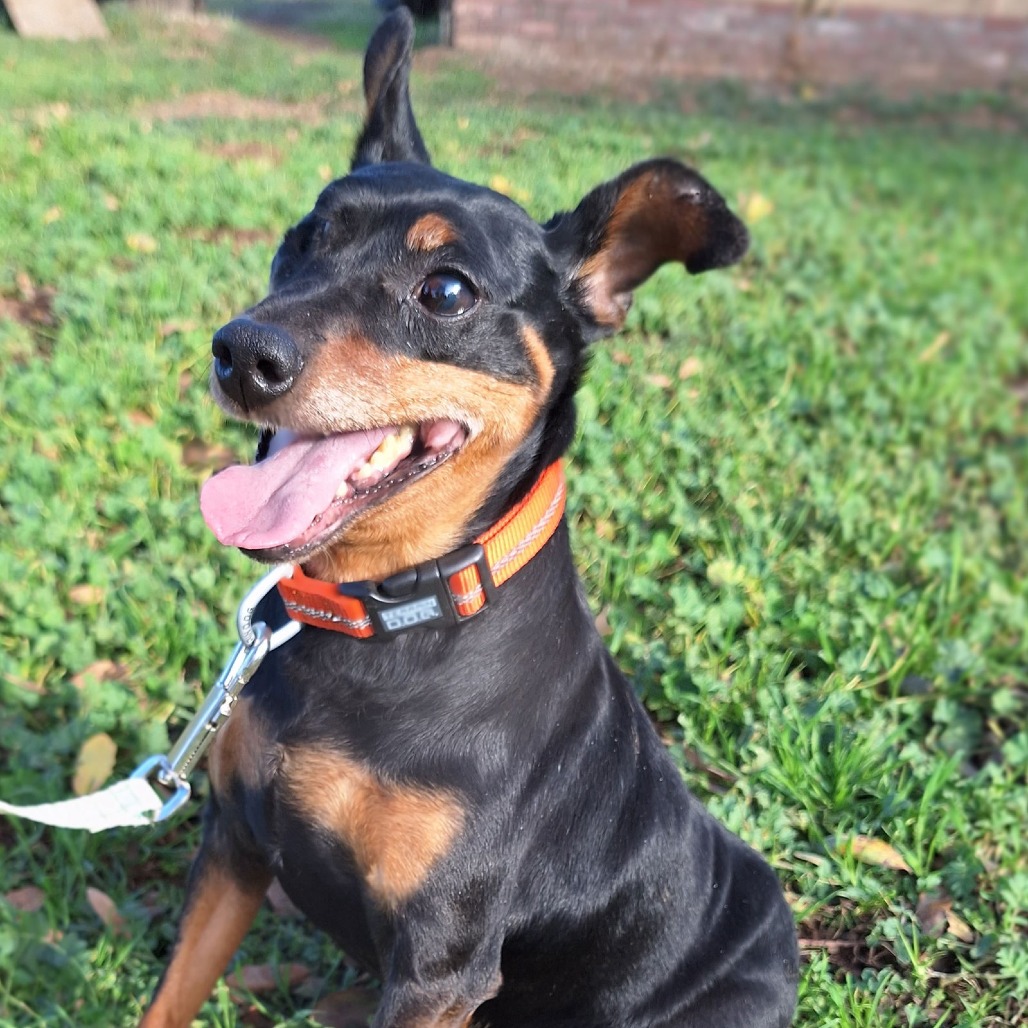 HOOK — thumbnail 4