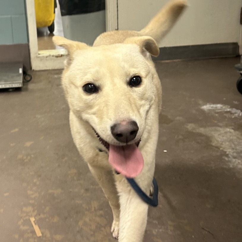 Baylene — thumbnail 2