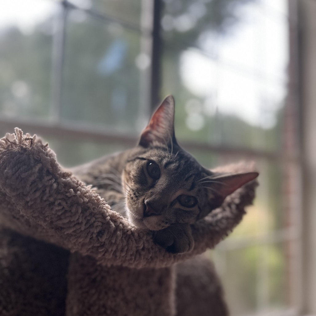 *Bobby, photo 22