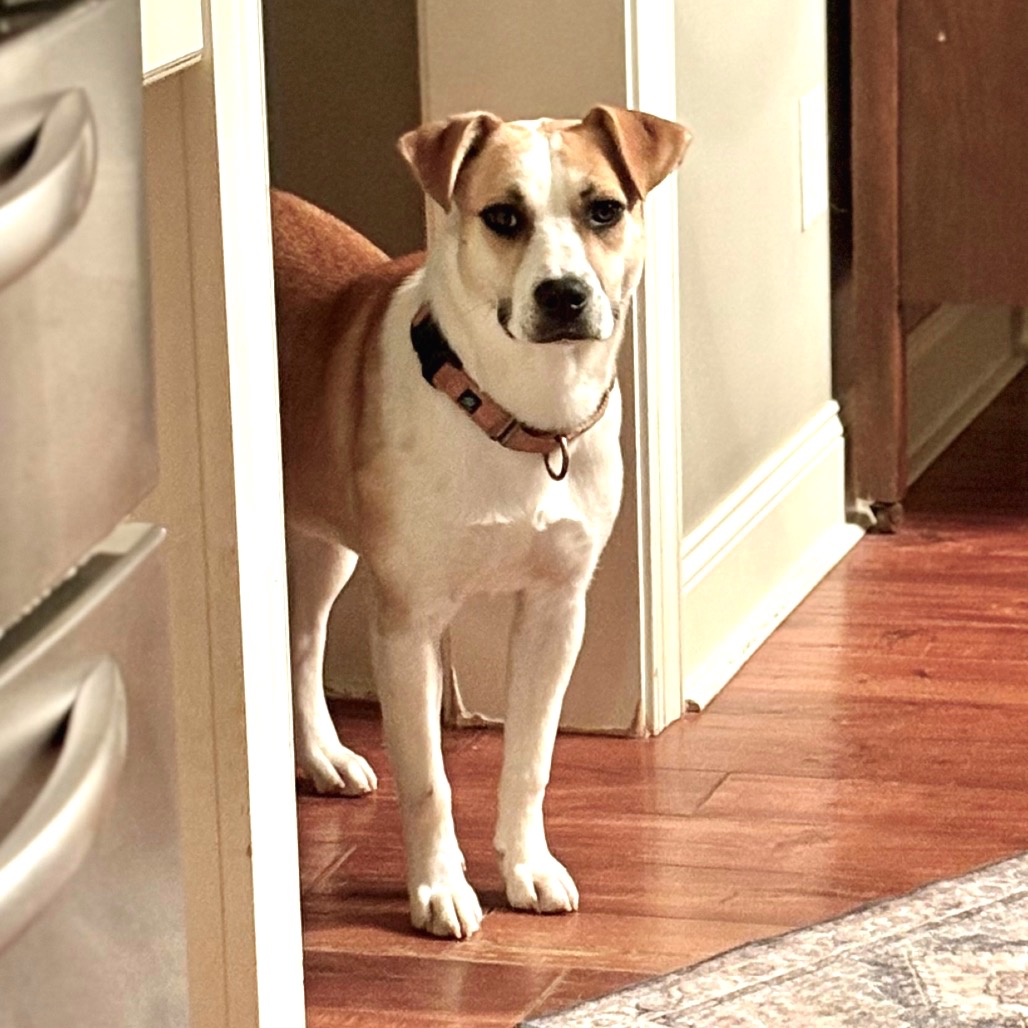 Molly — thumbnail 5